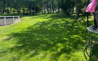 Photo of Digna V.'s yard after getting lawn care in North Versailles, PA