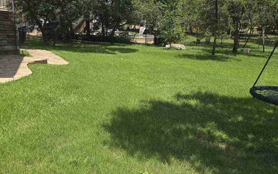 Photo of Sherrie W.'s yard after getting lawn care in Clarksville, TN