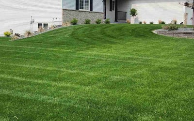 Photo of Michael R.'s yard after getting lawn care in Liberty, TX