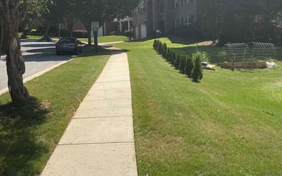 Photo of Chris L.'s yard after getting lawn care in Spring Branch, TX