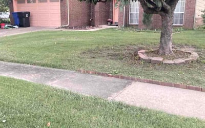 Photo of Cameron G.'s yard after getting lawn care in Independence, KY
