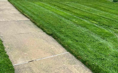 Photo of Peggy B.'s yard after getting lawn care in Bartow, FL