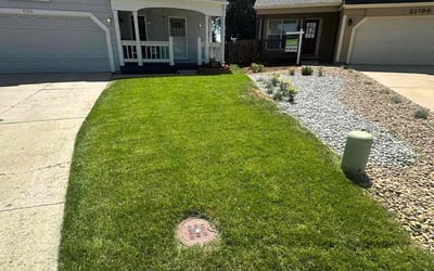 Photo of Grant M.'s yard after getting lawn care in Crawfordville, FL