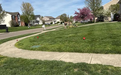 Photo of Jim D.'s yard after getting lawn care in Dayton, OH