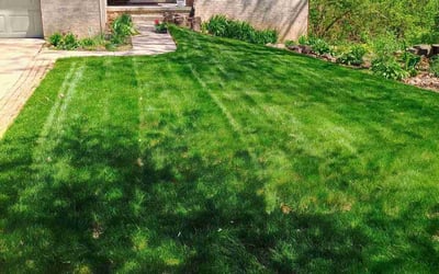 Photo of Brandon G.'s yard after getting lawn care in Griffin, GA