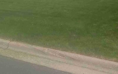 Photo of Gad O.'s yard after getting lawn care in Burnsville, MN