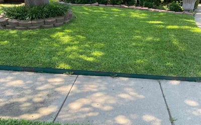 Photo of Steve B.'s yard after getting lawn care in Passaic, NJ