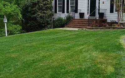 Photo of Angelo C.'s yard after getting lawn care in Raleigh, NC