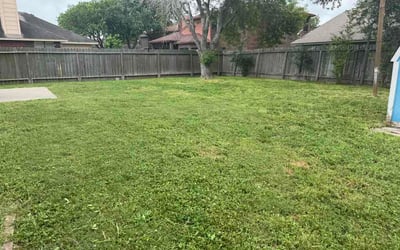 Photo of Josh P.'s yard after getting lawn care in Springboro, OH