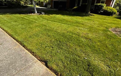 Photo of Kayla B.'s yard after getting lawn care in Mogadore, OH