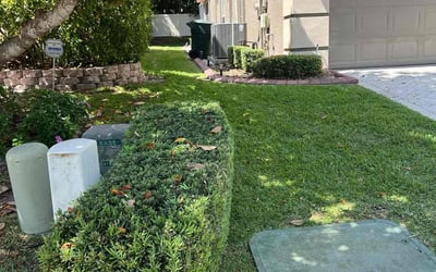 Photo of Karen H.'s yard after getting lawn care in Orlando, FL