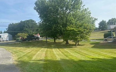 Photo of Candi S.'s yard after getting lawn care in Westminster, MD