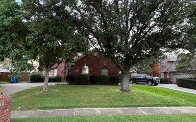 Photo of Shari M.'s yard after getting lawn care in Flower Mound, TX