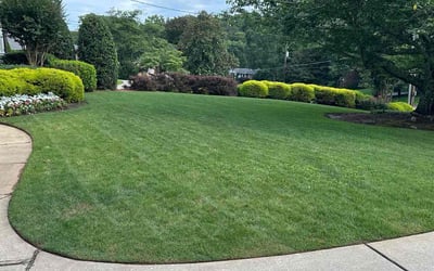 Photo of Amy G.'s yard after getting lawn care in White Plains, NY
