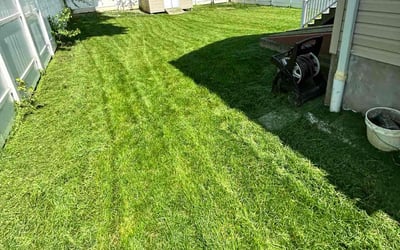 Photo of Mary L.'s yard after getting lawn care in Springfield, PA