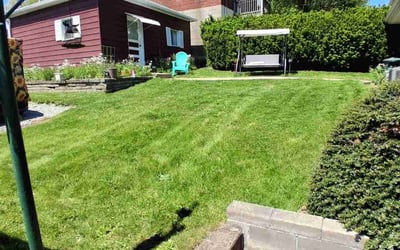 Photo of Thor W.'s yard after getting lawn care in Loveland, OH