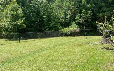 Photo of Effie M.'s yard after getting lawn care in Senoia, GA