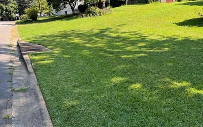 Photo of Stephanie L.'s yard after getting lawn care in Pennsville, NJ