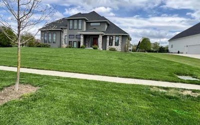 Photo of Anan B.'s yard after getting lawn care in Perrysburg, OH