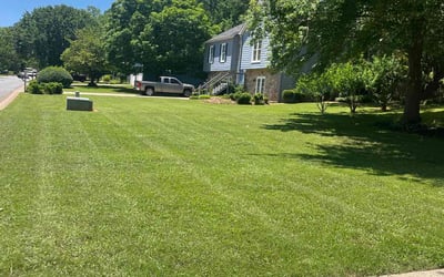 Photo of Scott B.'s yard after getting lawn care in Elgin, IL