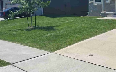 Photo of Casey C.'s yard after getting lawn care in Waukee, IA