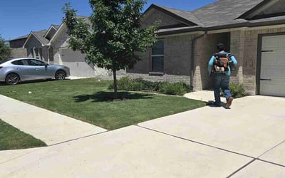 Photo of Victoria D.'s yard after getting lawn care in Texarkana, TX