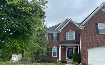 Photo of Alysia B.'s yard after getting lawn care in Henderson, KY