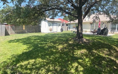 Photo of Jean K.'s yard after getting lawn care in Poteet, TX