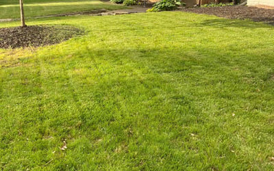 Photo of Patrick D.'s yard after getting lawn care in Plainfield, IN