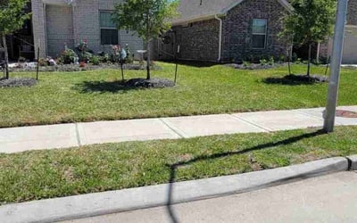 Photo of Marcelina R.'s yard after getting lawn care in Fresno, TX