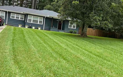 Photo of Ronald W.'s yard after getting lawn care in Eden, NC