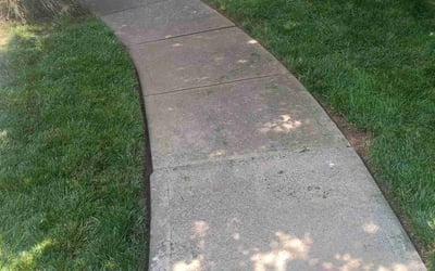 Photo of Talita B.'s yard after getting lawn care in Marshall, NC