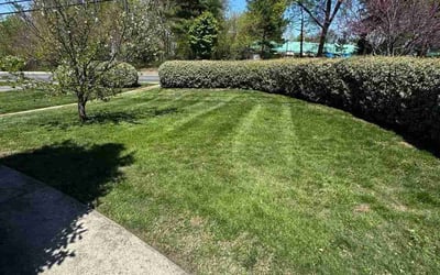Photo of Sherri C.'s yard after getting lawn care in Bethesda, MD