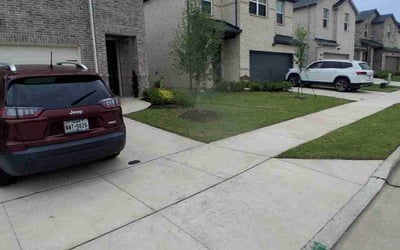 Photo of Glenn A.'s yard after getting lawn care in Los Altos, CA