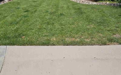 Photo of Wilson L.'s yard after getting lawn care in Chapel Hill, NC