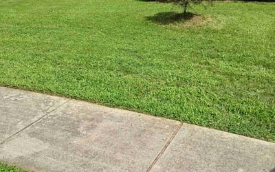 Photo of William B.'s yard after getting lawn care in Owings Mills, MD
