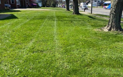 Photo of Back Forty A.'s yard after getting lawn care in Burton, OH