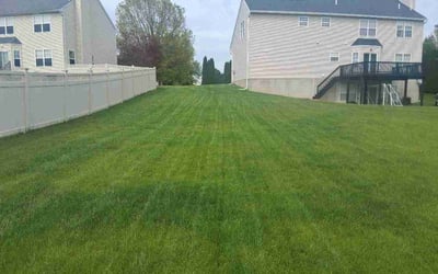 Photo of Terrence O.'s yard after getting lawn care in San Jacinto, CA