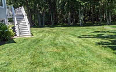 Photo of James P.'s yard after getting lawn care in Tewksbury, MA