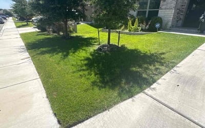 Photo of Amina M.'s yard after getting lawn care in Wendell, NC