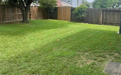 Photo of Amelia W.'s yard after getting lawn care in Golden Valley, MN