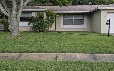 Photo of Michael K.'s yard after getting lawn care in Sulphur, LA