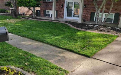 Photo of Danny P.'s yard after getting lawn care in Ballwin, MO