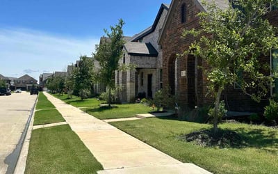 Photo of Roberta R.'s yard after getting lawn care in Sachse, TX