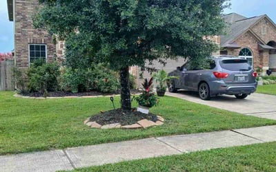 Photo of Linda F.'s yard after getting lawn care in Azle, TX