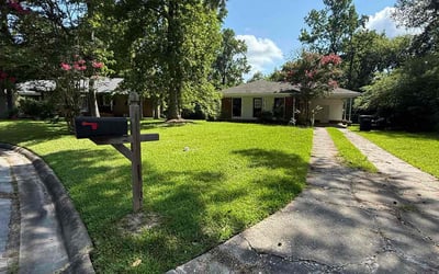 Photo of Claudia A.'s yard after getting lawn care in Tarpon Springs, FL