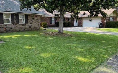 Photo of Shawn D.'s yard after getting lawn care in Hialeah, FL