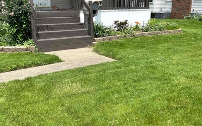 Photo of Steph B.'s yard after getting lawn care in Canton, OH