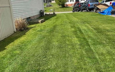 Photo of Ray K.'s yard after getting lawn care in Monessen, PA