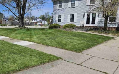 Photo of Andrea R.'s yard after getting lawn care in Wayne, MI